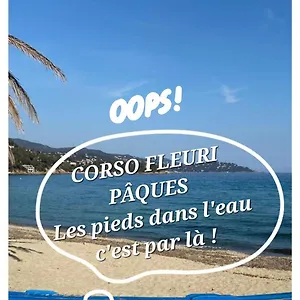 Splendide 6 P à 150 M Plage, à Pied Le Lavandou